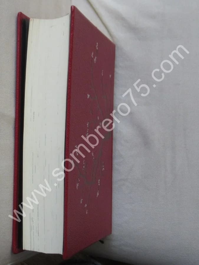 Tao Tö King. Le livre de la voie et de la vertu - Image 5