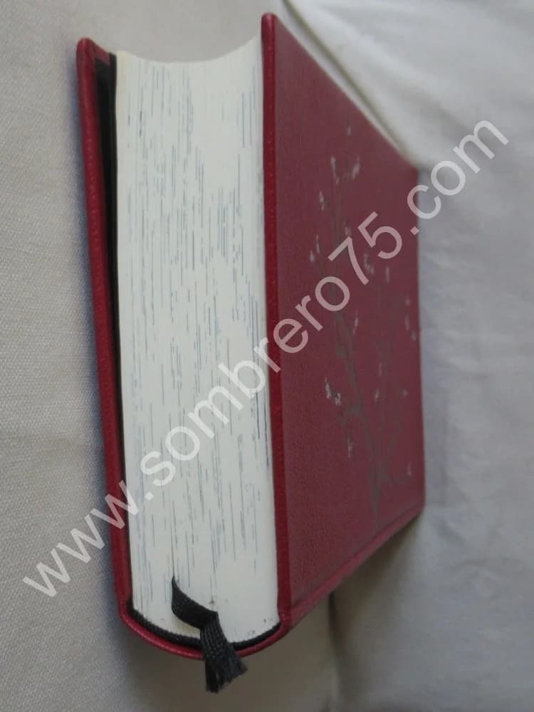 Tao Tö King. Le livre de la voie et de la vertu - Image 6