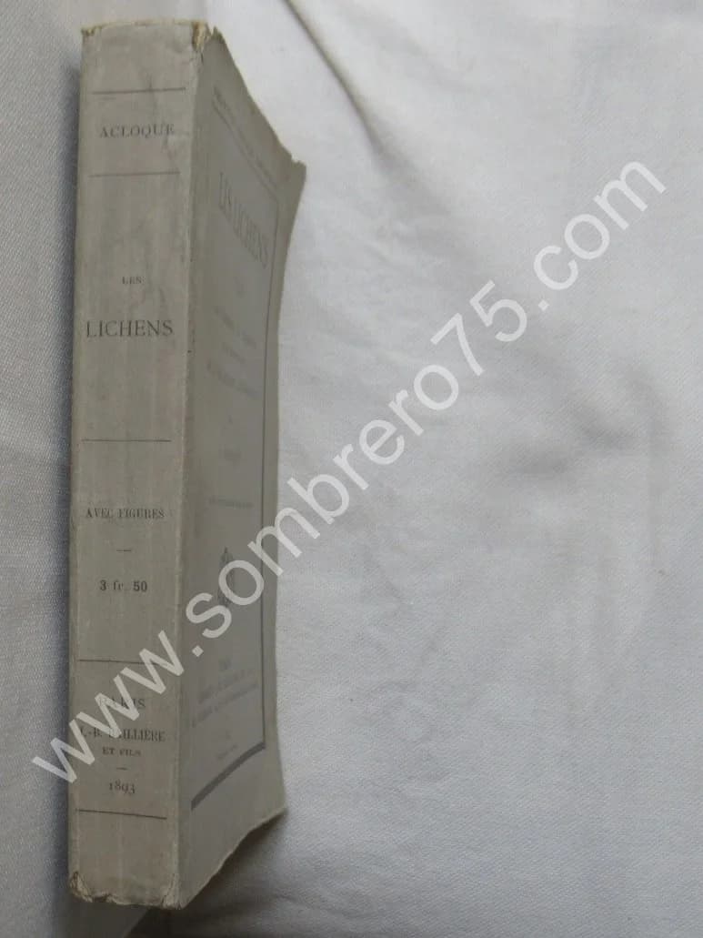 Les Lichens Etude sur l'anatomie... 1893 - Image 2