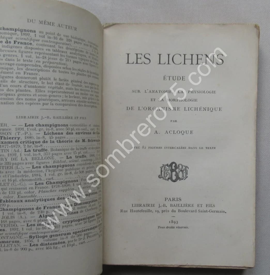 Les Lichens Etude sur l'anatomie... 1893 - Image 3