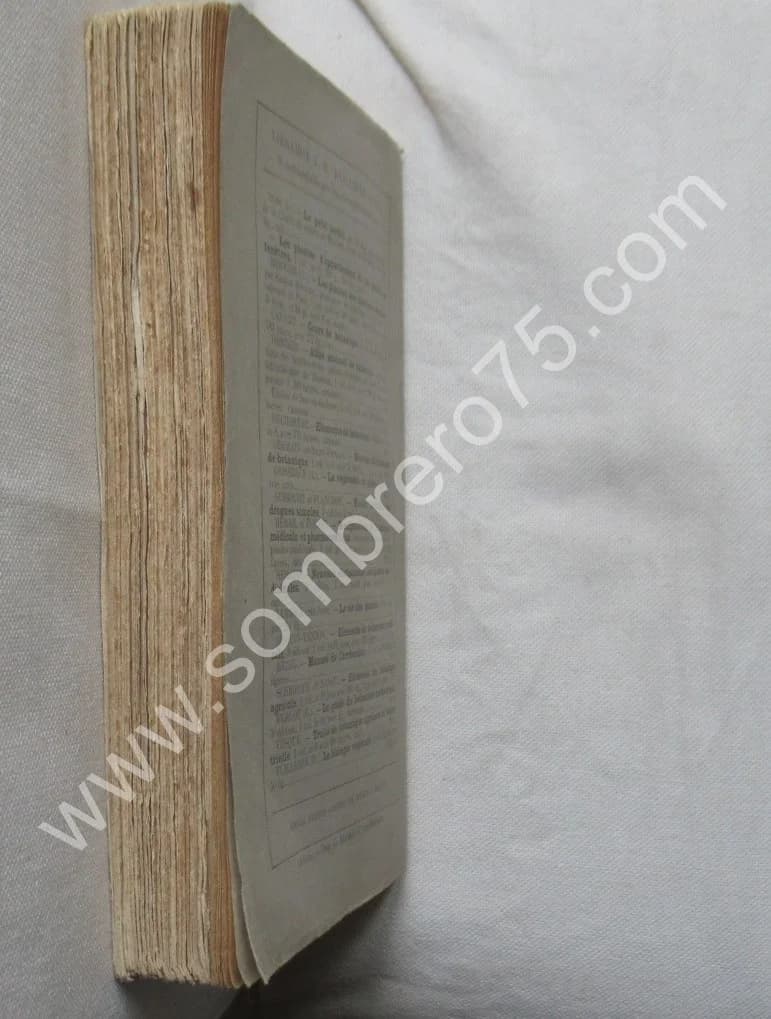 Les Lichens Etude sur l'anatomie... 1893 - Image 5