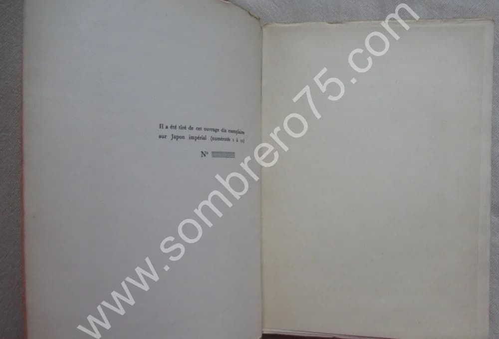 L'Evangile de Cagliostro introduction Dr Marc HAVEN - Image 4