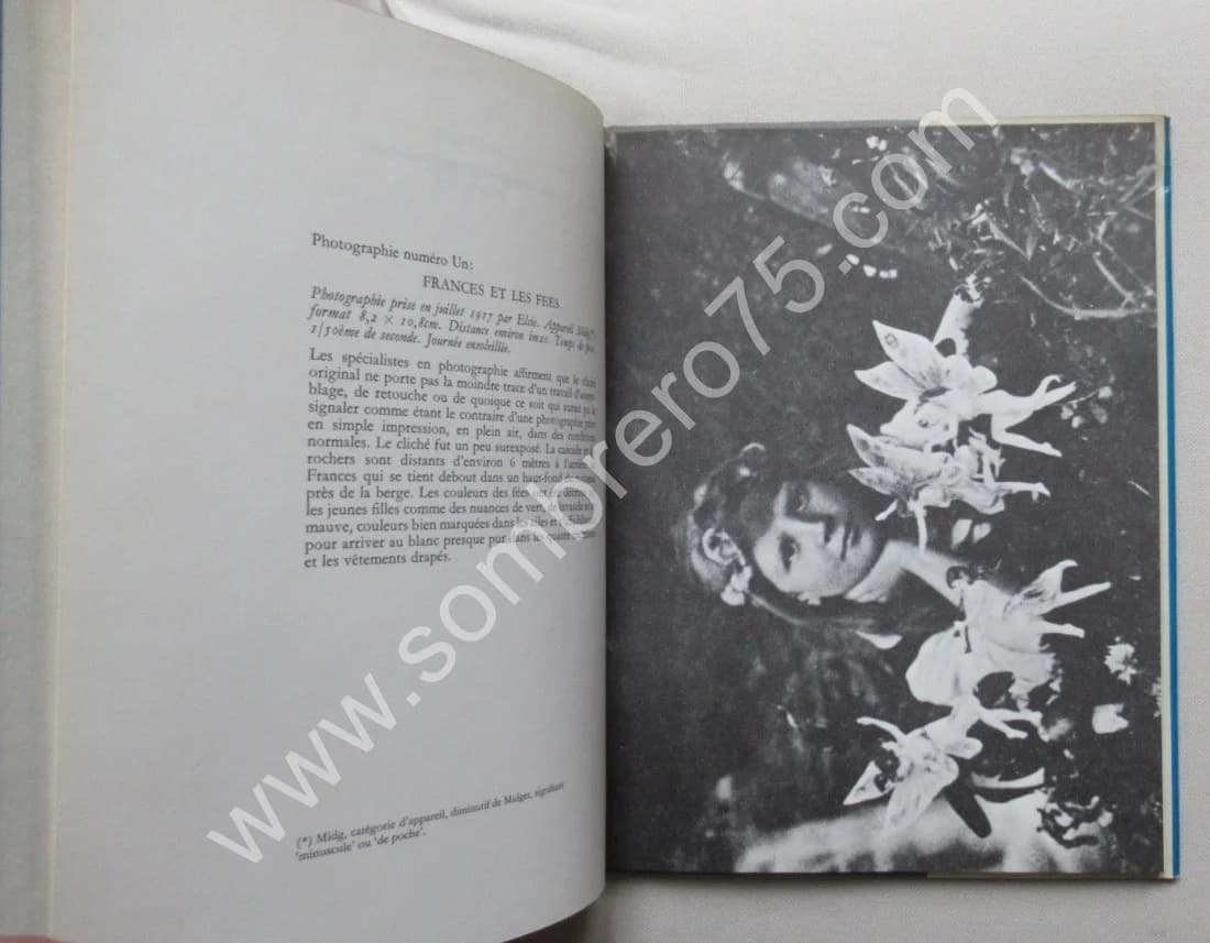 Les Fées - Un livre sur les vraies fées. Edward L. GARDNER - Image 6