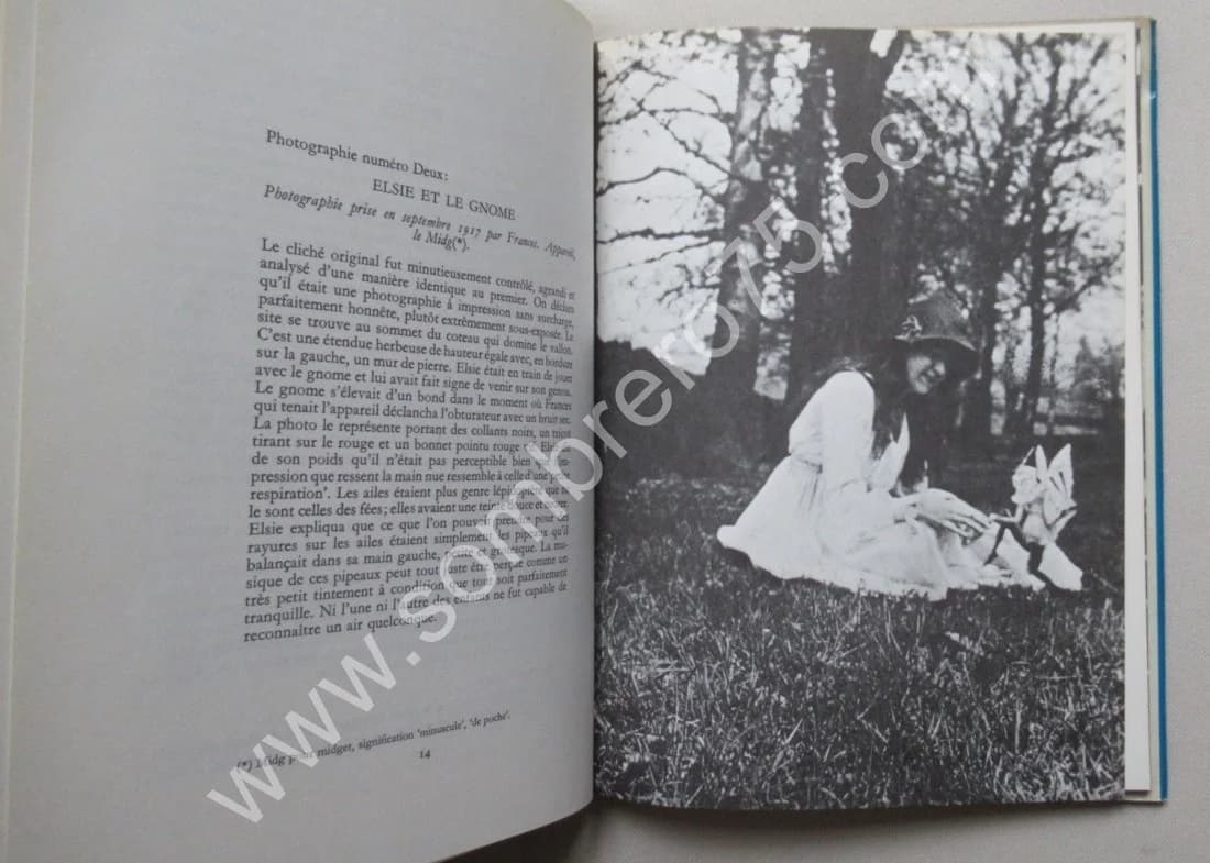 Les Fées - Un livre sur les vraies fées. Edward L. GARDNER - Image 7