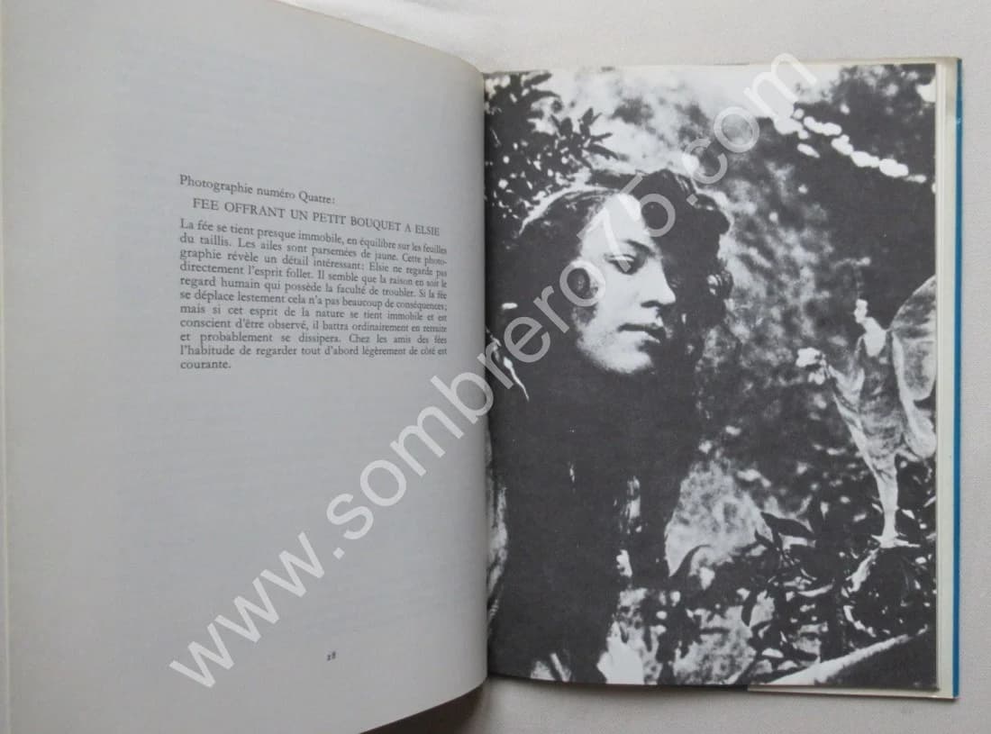 Les Fées - Un livre sur les vraies fées. Edward L. GARDNER - Image 8