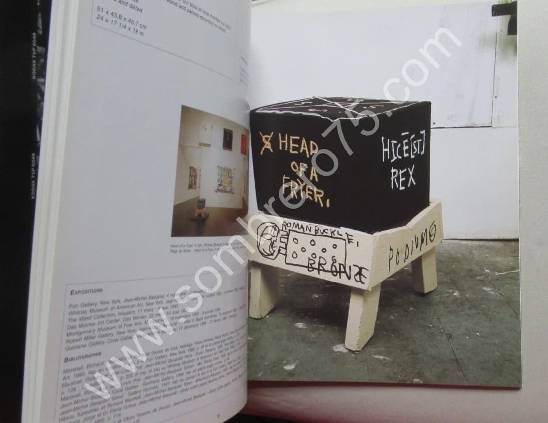 Jean Michel BASQUIAT - Témoignage 1977-1988. Galerie de Noirmont - Image 4