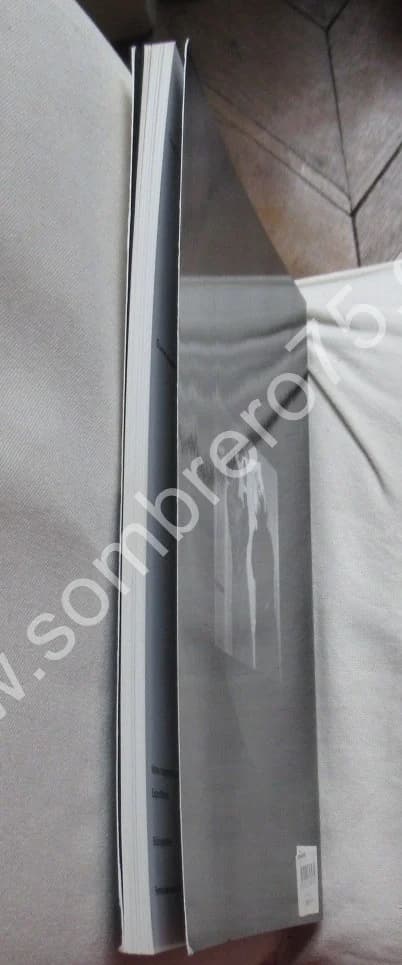 Jean Michel BASQUIAT - Témoignage 1977-1988. Galerie de Noirmont - Image 9