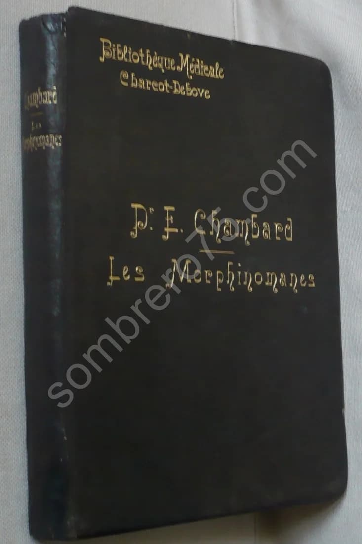 Les Morphinomanes : Étude Clinique, Médico-Légale et Thérapeutique (1893) - Image 2