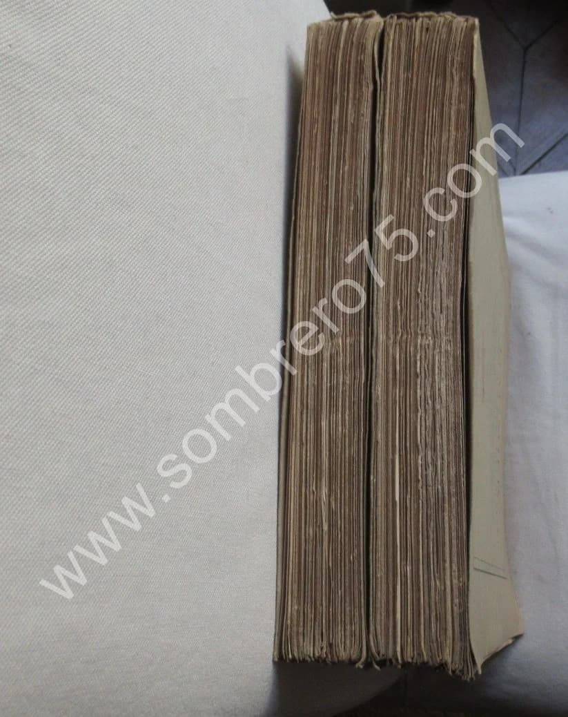 DAUMIER. L'Oeuvre gravé du Maitre. 1933 - Image 11