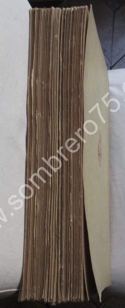 DAUMIER. L'Oeuvre gravé du Maitre. 1933 - Image 9