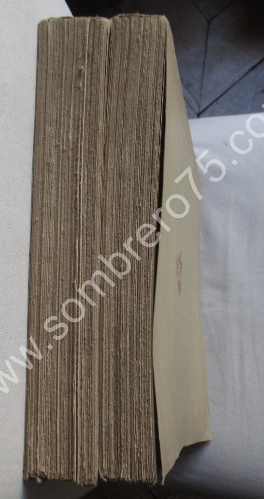 DAUMIER. L'Oeuvre gravé du Maitre. 1933 - Image 10