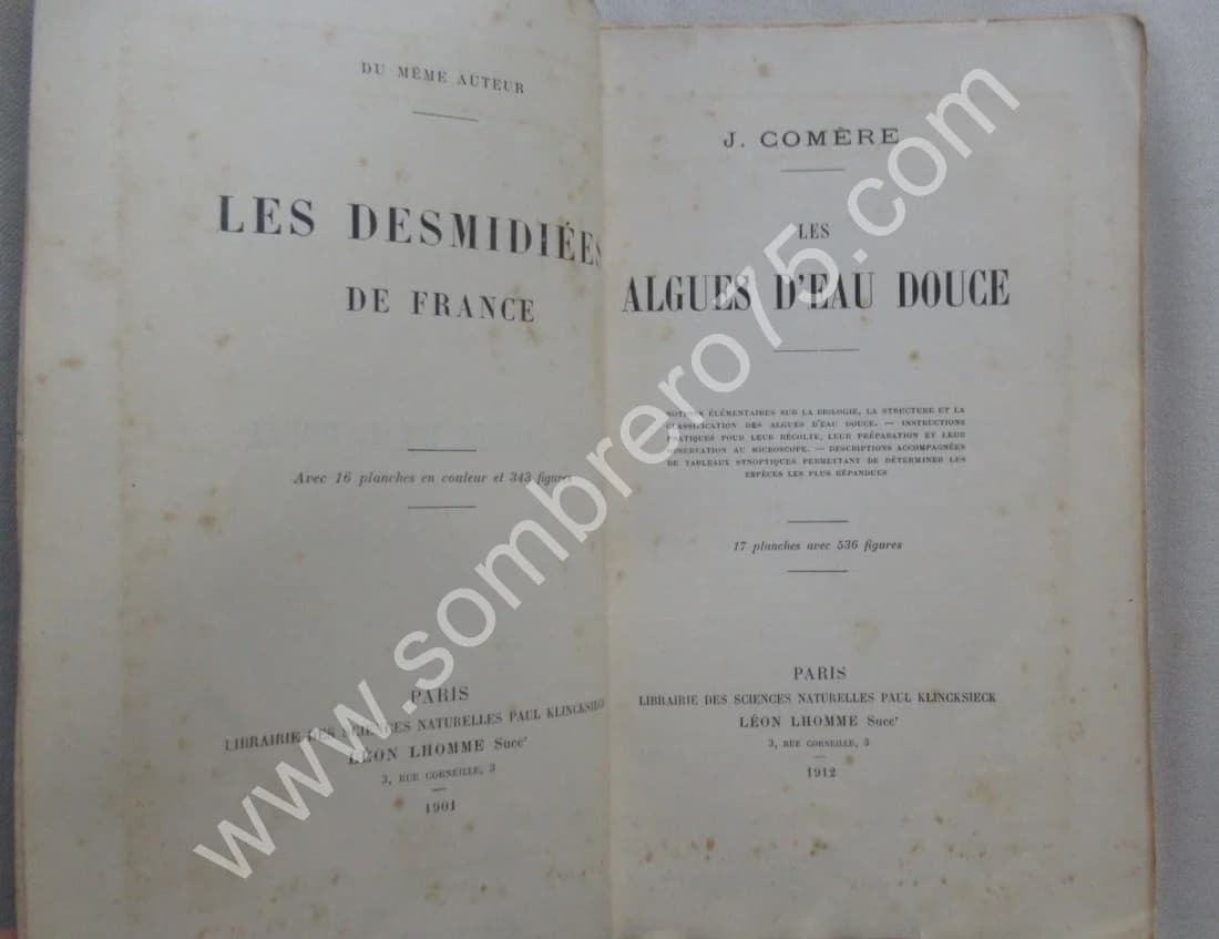 Les Algues d'Eau Douce. 1912 - Image 3