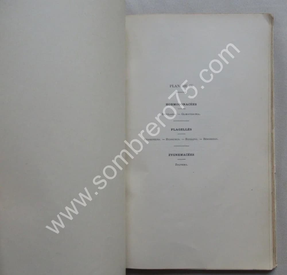 Les Algues d'Eau Douce. 1912 - Image 4