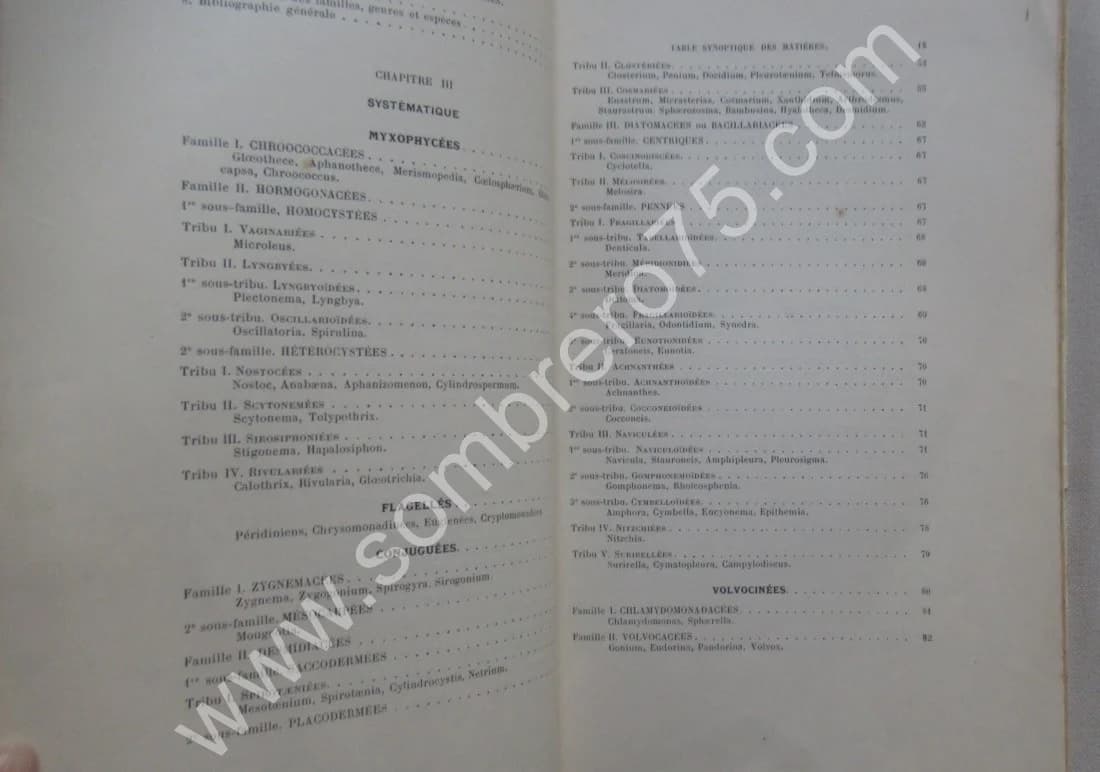 Les Algues d'Eau Douce. 1912 - Image 7