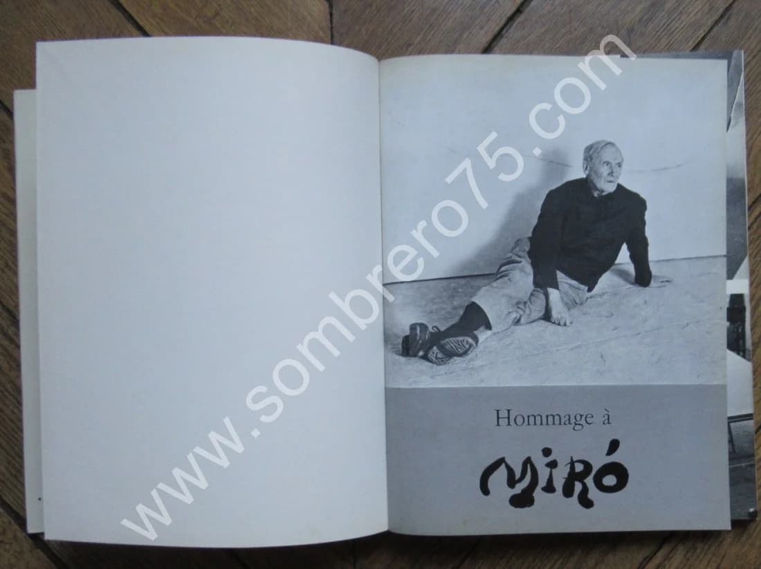 Hommage à Joan Miro. Numéro Spécial - Image 3