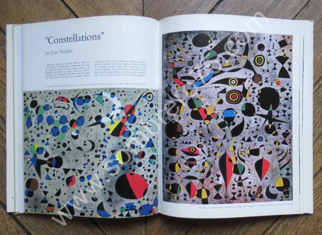 Hommage à Joan Miro. Numéro Spécial - Image 5