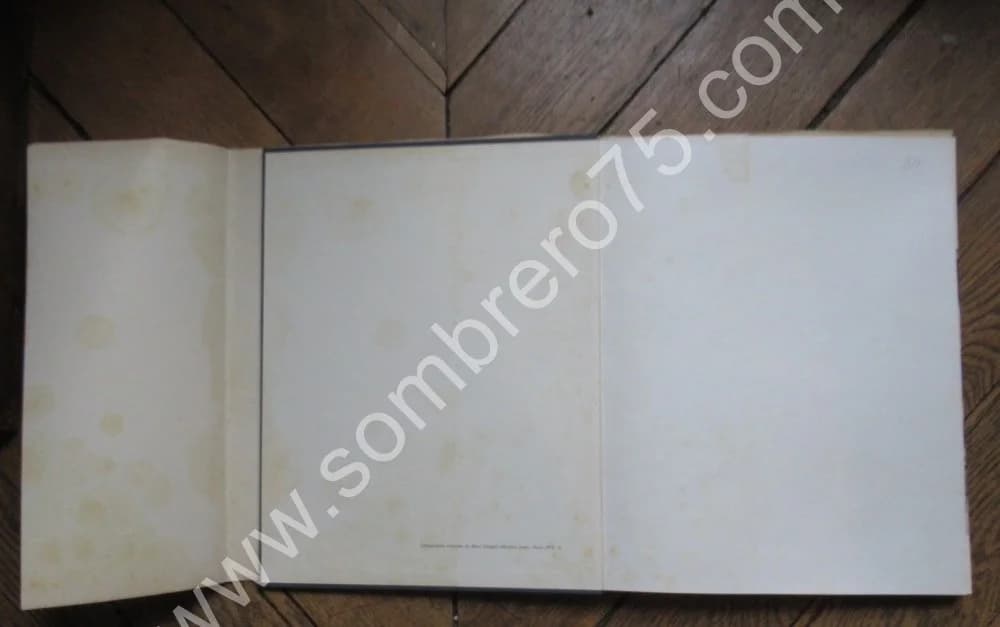 Chagall Monumental -. Numéro Spécial. Lithographie originale - Image 8