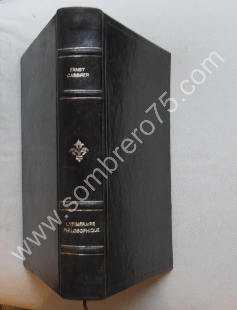 Ernst CASSIRER. De Marbourg à New York. L'itinéraire Philosophique. Colloque Nanterre