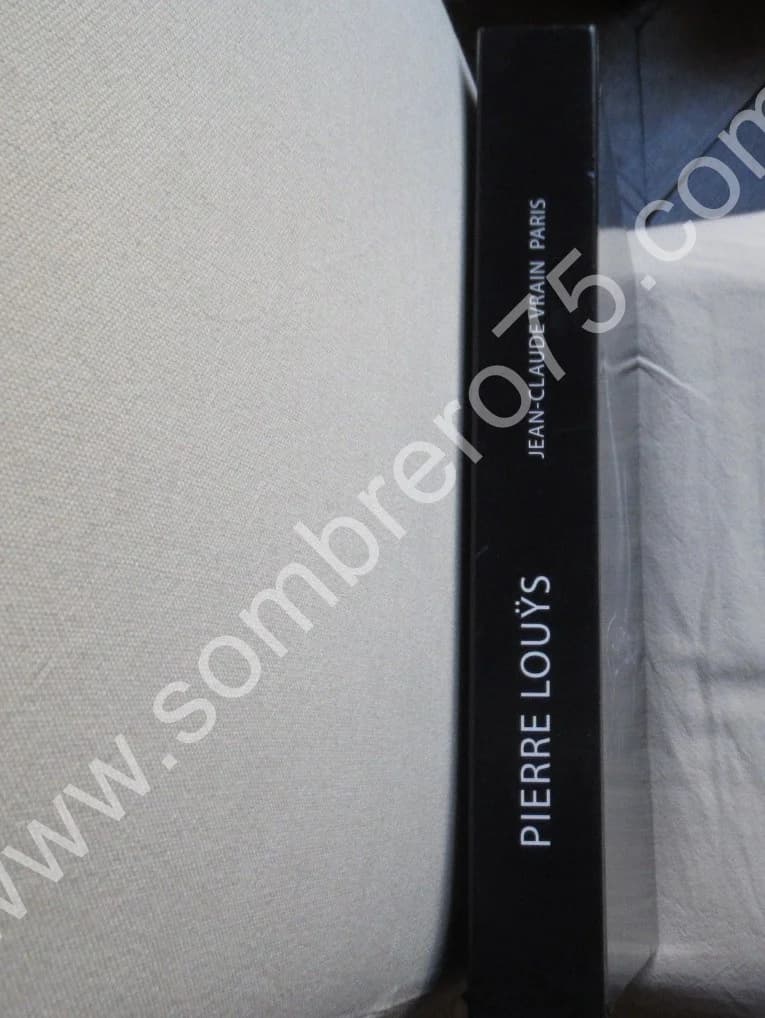 Pierre Louÿs. Jean Claude VRAIN. 2009 - Image 2