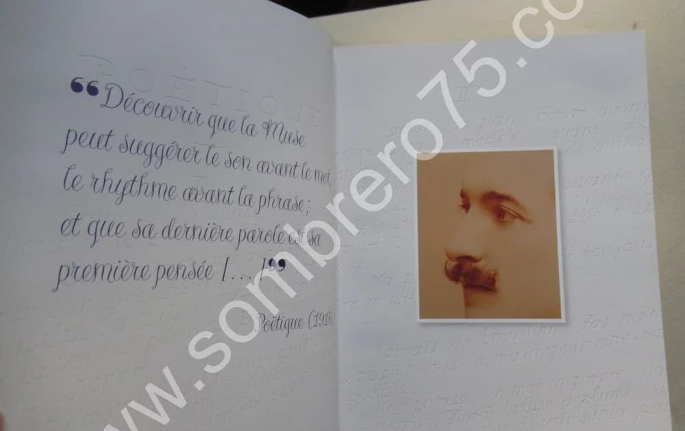 Pierre Louÿs. Jean Claude VRAIN. 2009 - Image 4