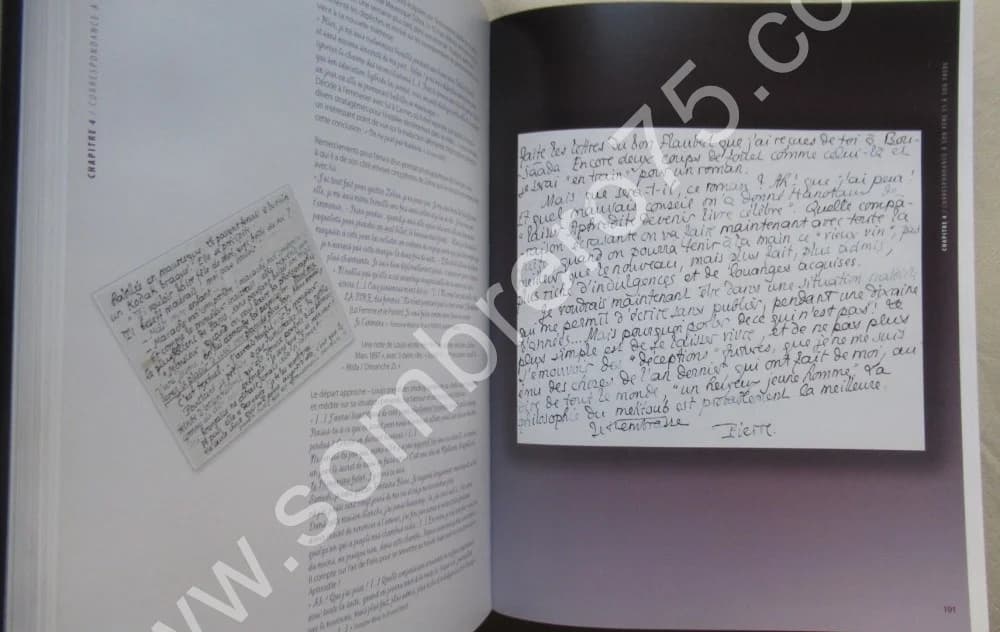 Pierre Louÿs. Jean Claude VRAIN. 2009 - Image 5