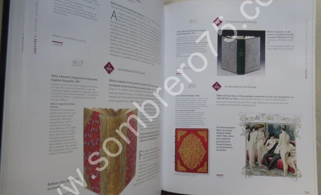 Pierre Louÿs. Jean Claude VRAIN. 2009 - Image 6