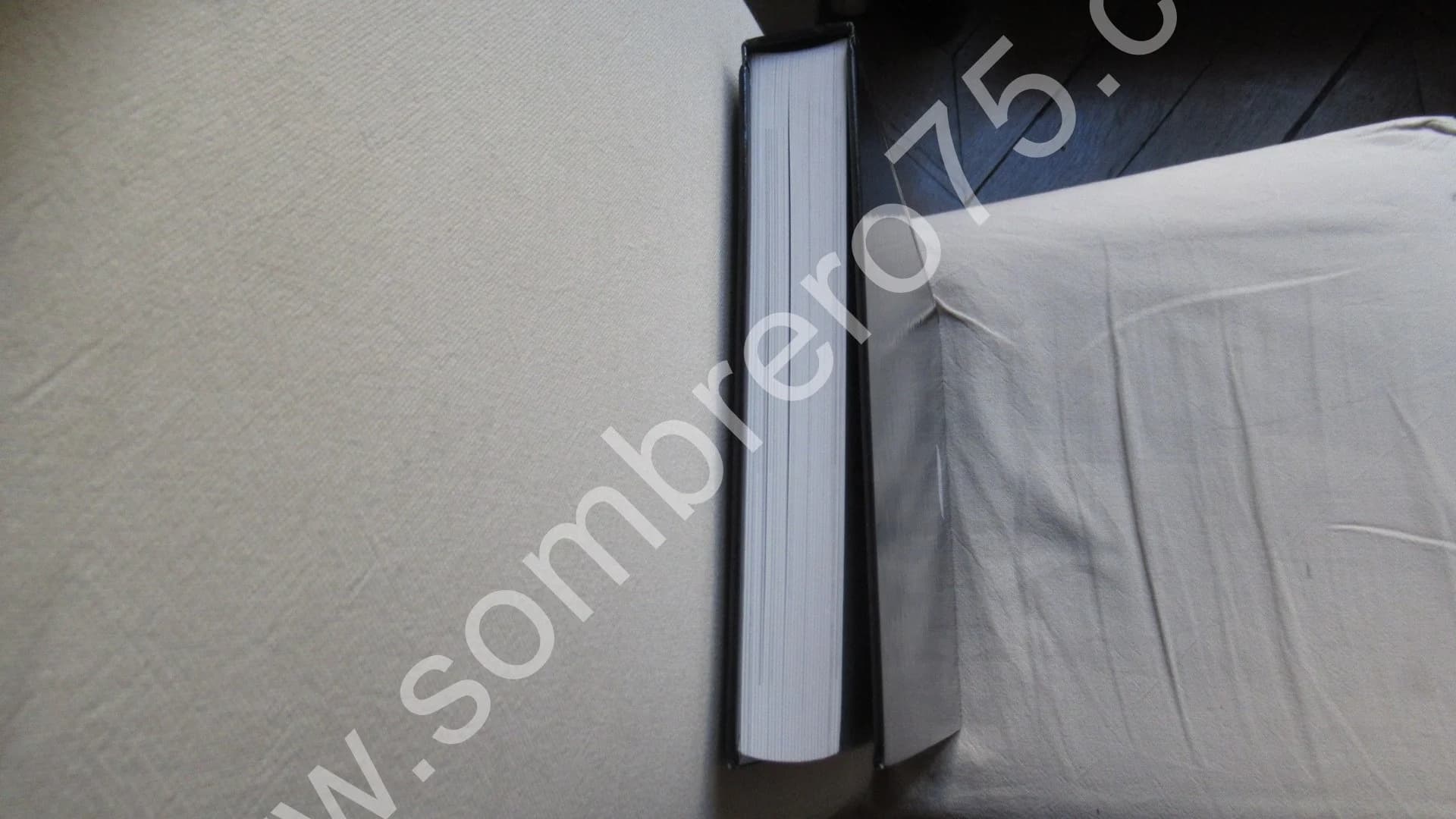 Pierre Louÿs. Jean Claude VRAIN. 2009 - Image 8