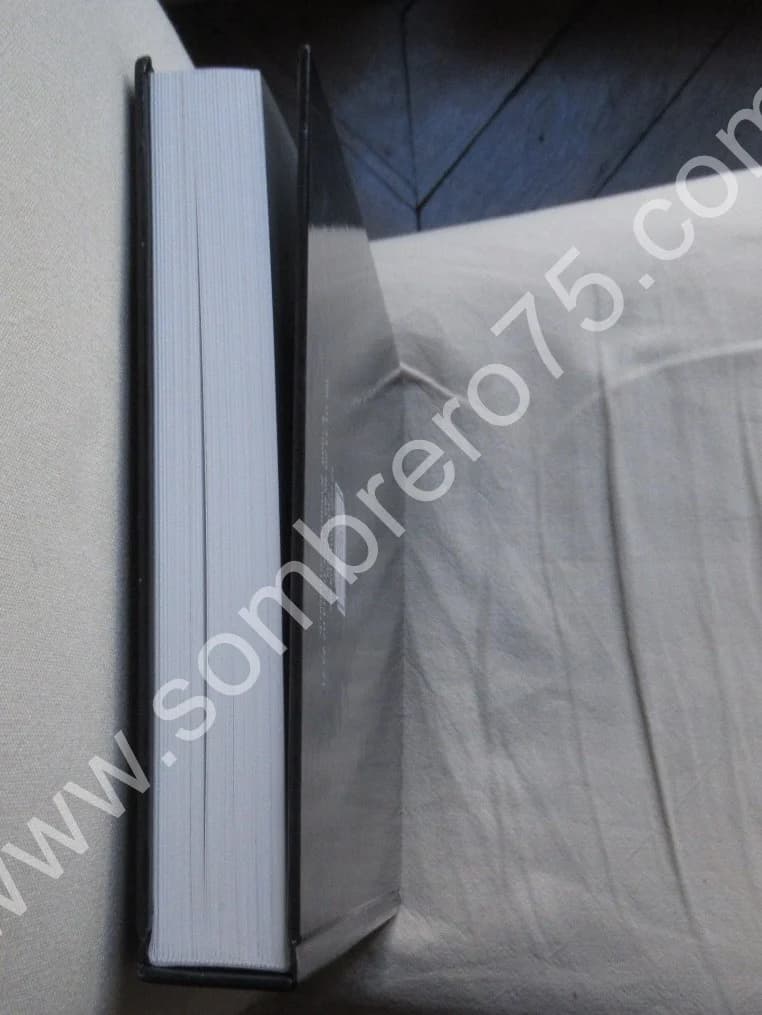 Pierre Louÿs. Jean Claude VRAIN. 2009 - Image 9