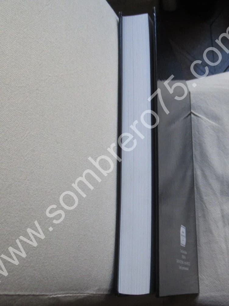 Pierre Louÿs. Jean Claude VRAIN. 2009 - Image 10