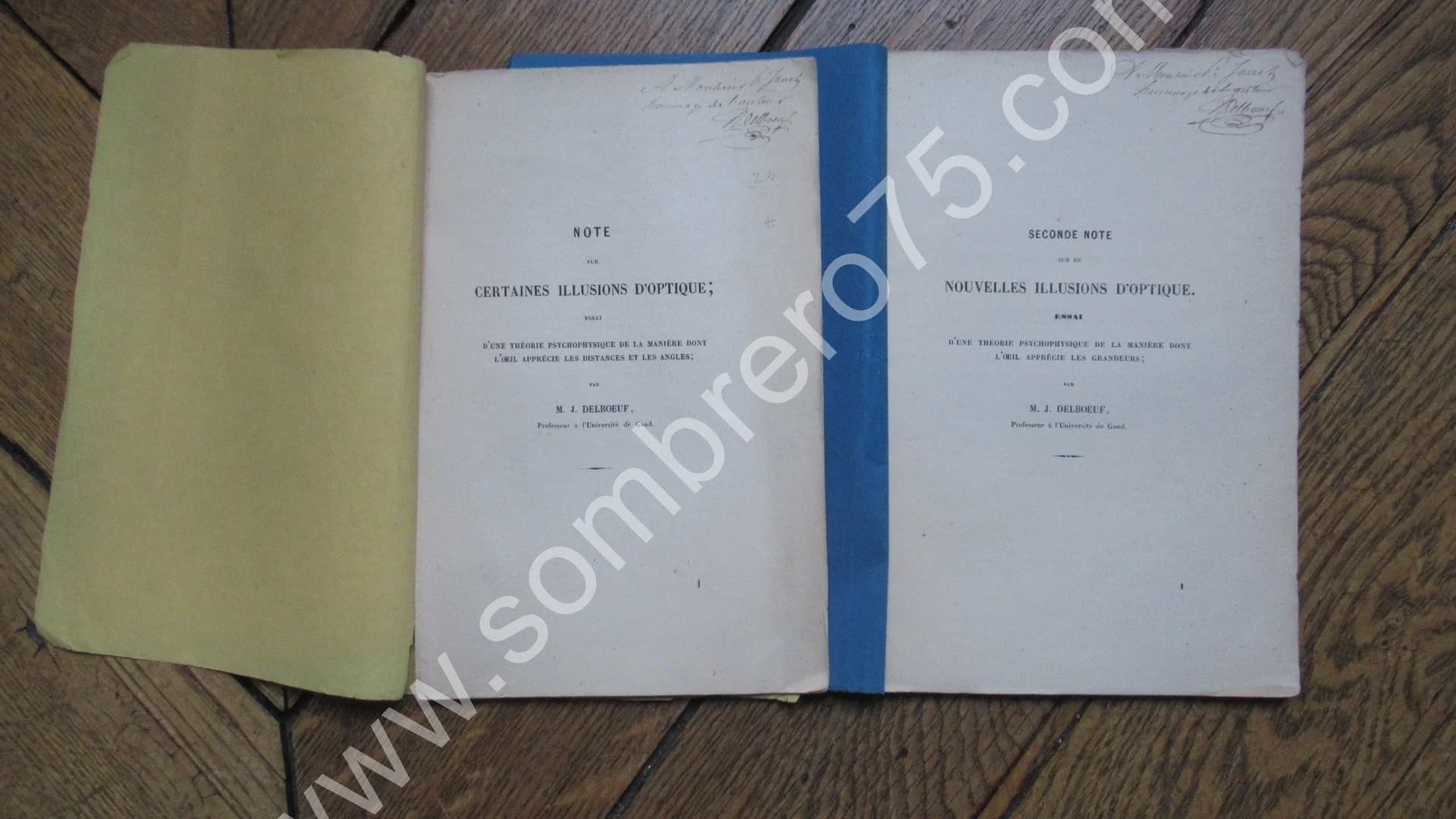M. J. DELBOEUF. Note sur certaines illusions d'Optique - 2 Notes