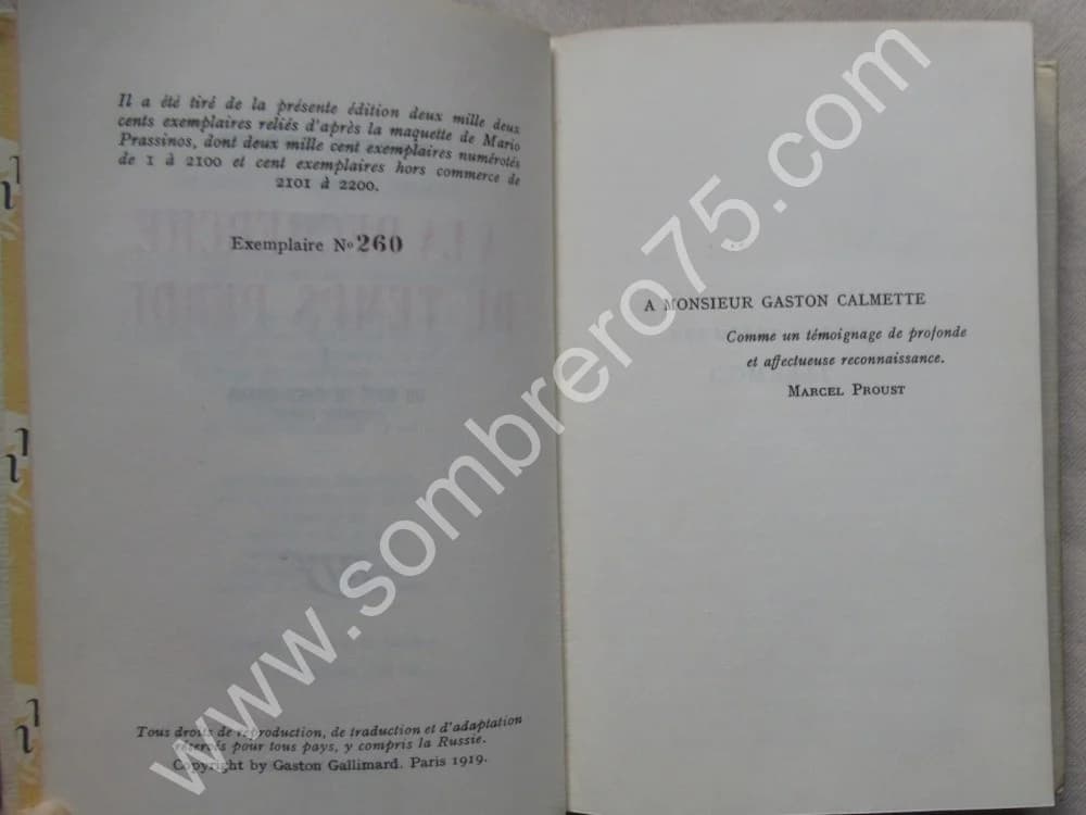 Marcel PROUST. Cartonnage Bonet. A la Recherche du Temps Perdu - Image 11