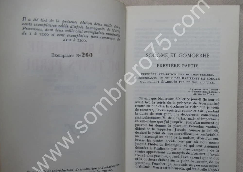 Marcel PROUST. Cartonnage Bonet. A la Recherche du Temps Perdu - Image 4