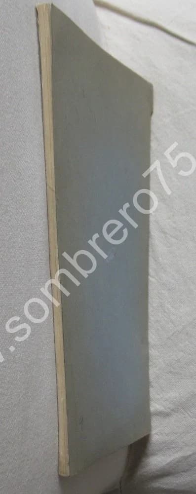 Courrières 10 Octobre 1920. Cérémonie - Discours - Image 6