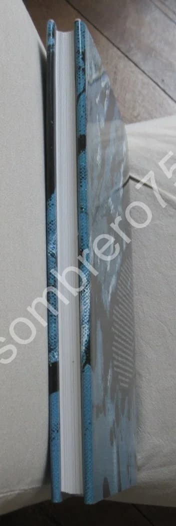 Henri MICHAUX. Peindre Composer Ecrire. Jean Michel MAULPOIX - Image 12