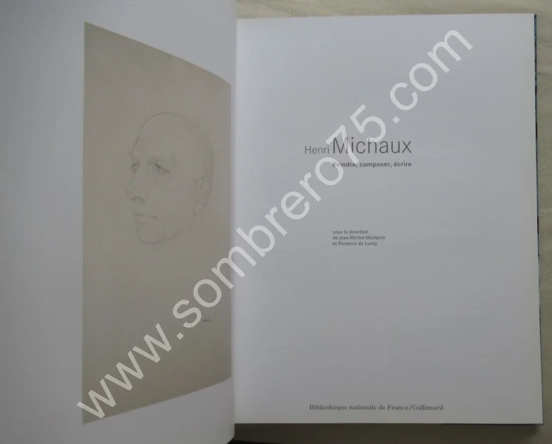 Henri MICHAUX. Peindre Composer Ecrire. Jean Michel MAULPOIX - Image 4