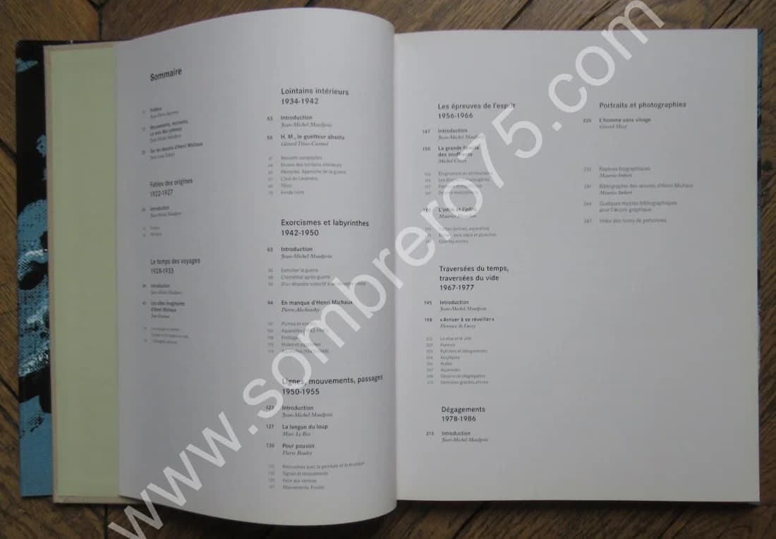 Henri MICHAUX. Peindre Composer Ecrire. Jean Michel MAULPOIX - Image 5