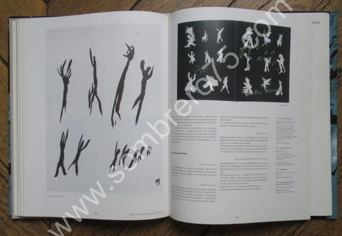 Henri MICHAUX. Peindre Composer Ecrire. Jean Michel MAULPOIX - Image 6