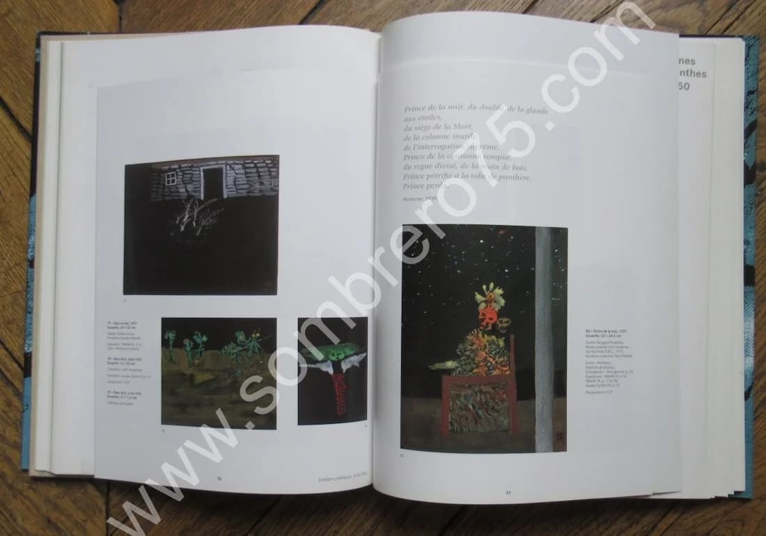 Henri MICHAUX. Peindre Composer Ecrire. Jean Michel MAULPOIX - Image 8