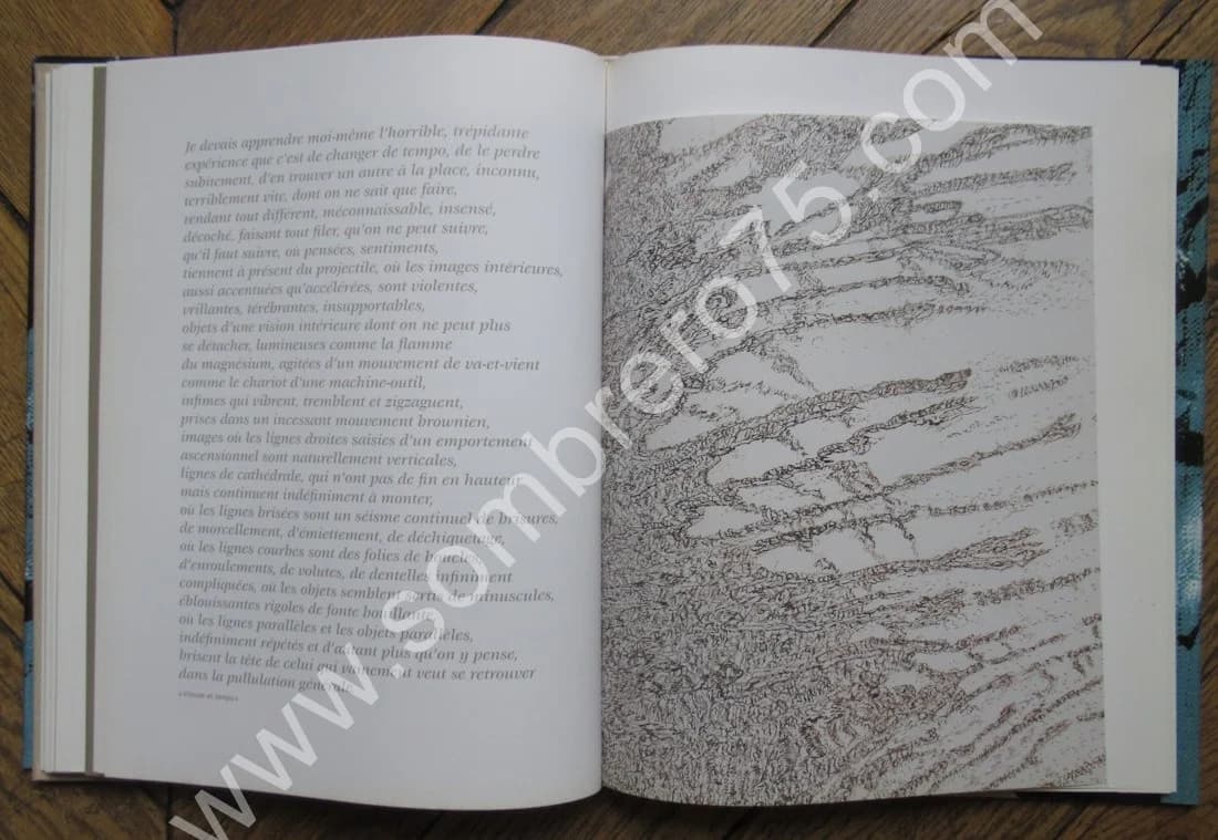 Henri MICHAUX. Peindre Composer Ecrire. Jean Michel MAULPOIX - Image 10