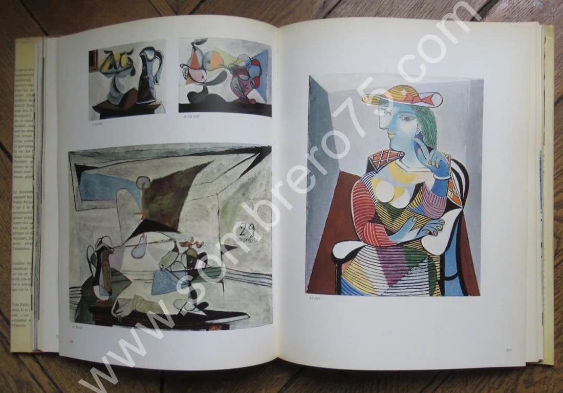 David Douglas DUNCAN. Goodbye Picasso. 1975 - Image 9