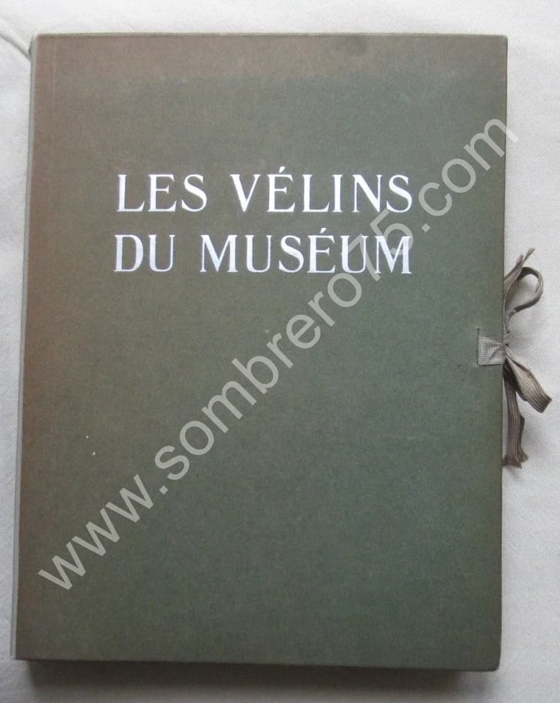 Les Vélins du Museum d'Histoire Naturelle de Paris