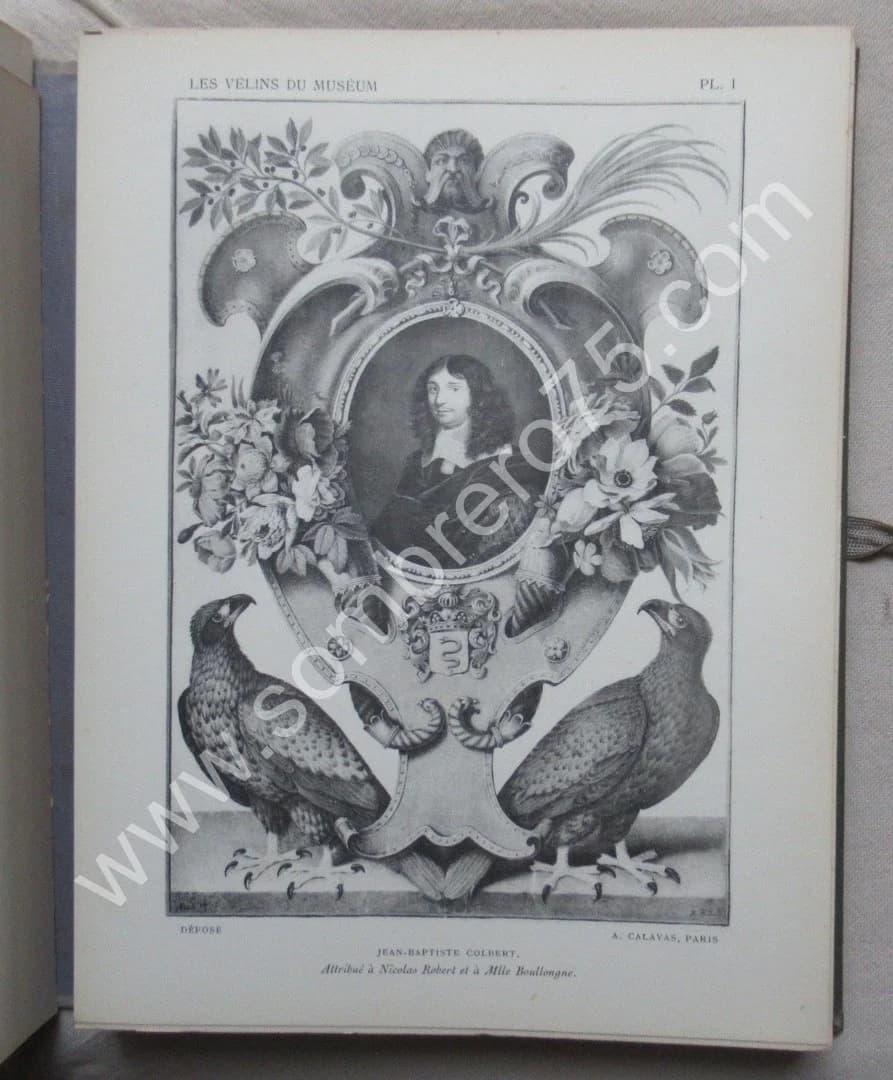 Les Vélins du Museum d'Histoire Naturelle de Paris - Image 11