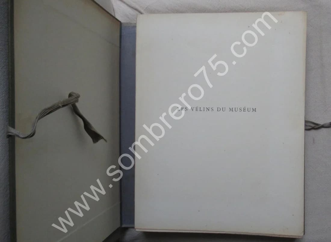 Les Vélins du Museum d'Histoire Naturelle de Paris - Image 3