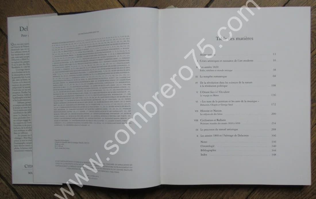 Delacroix. Peter RAUTMANN - Image 8