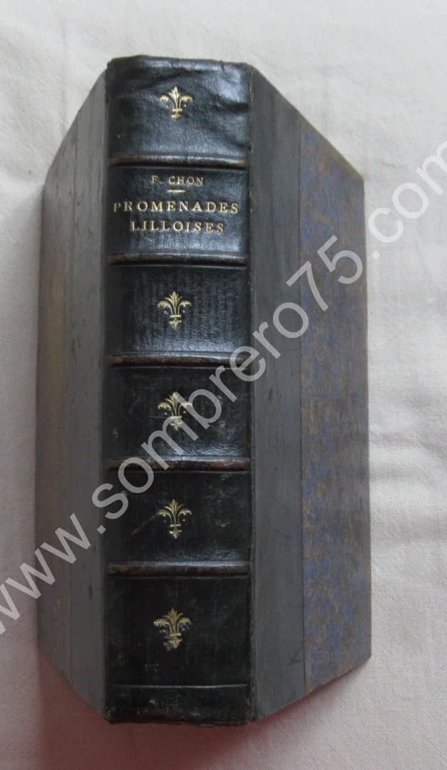 Promenades Lilloises 1888. F. CHON