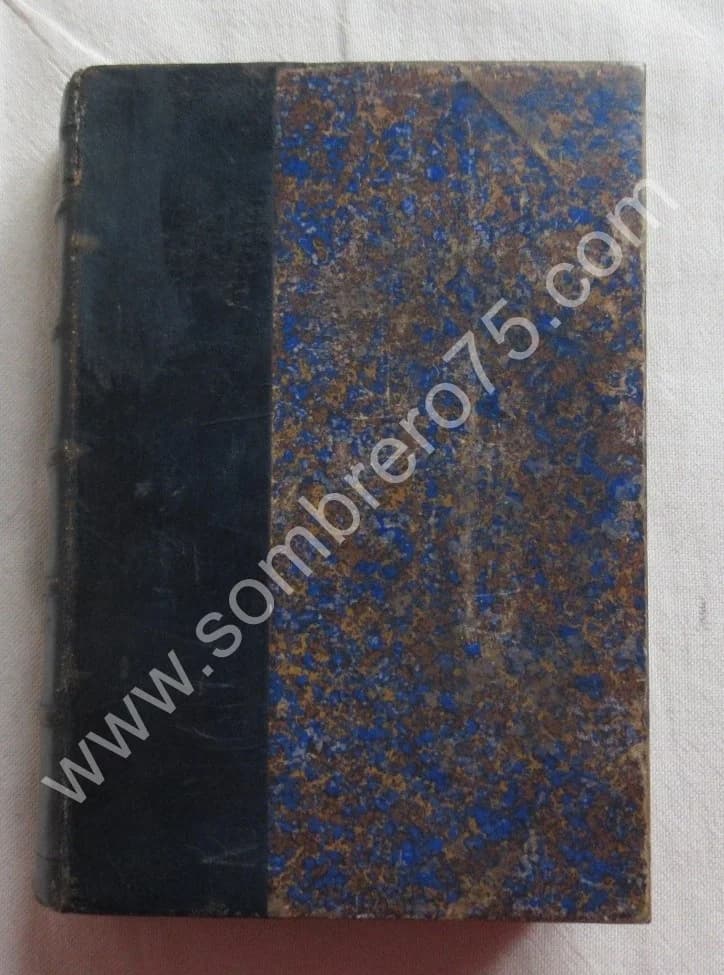 Promenades Lilloises 1888. F. CHON - Image 2