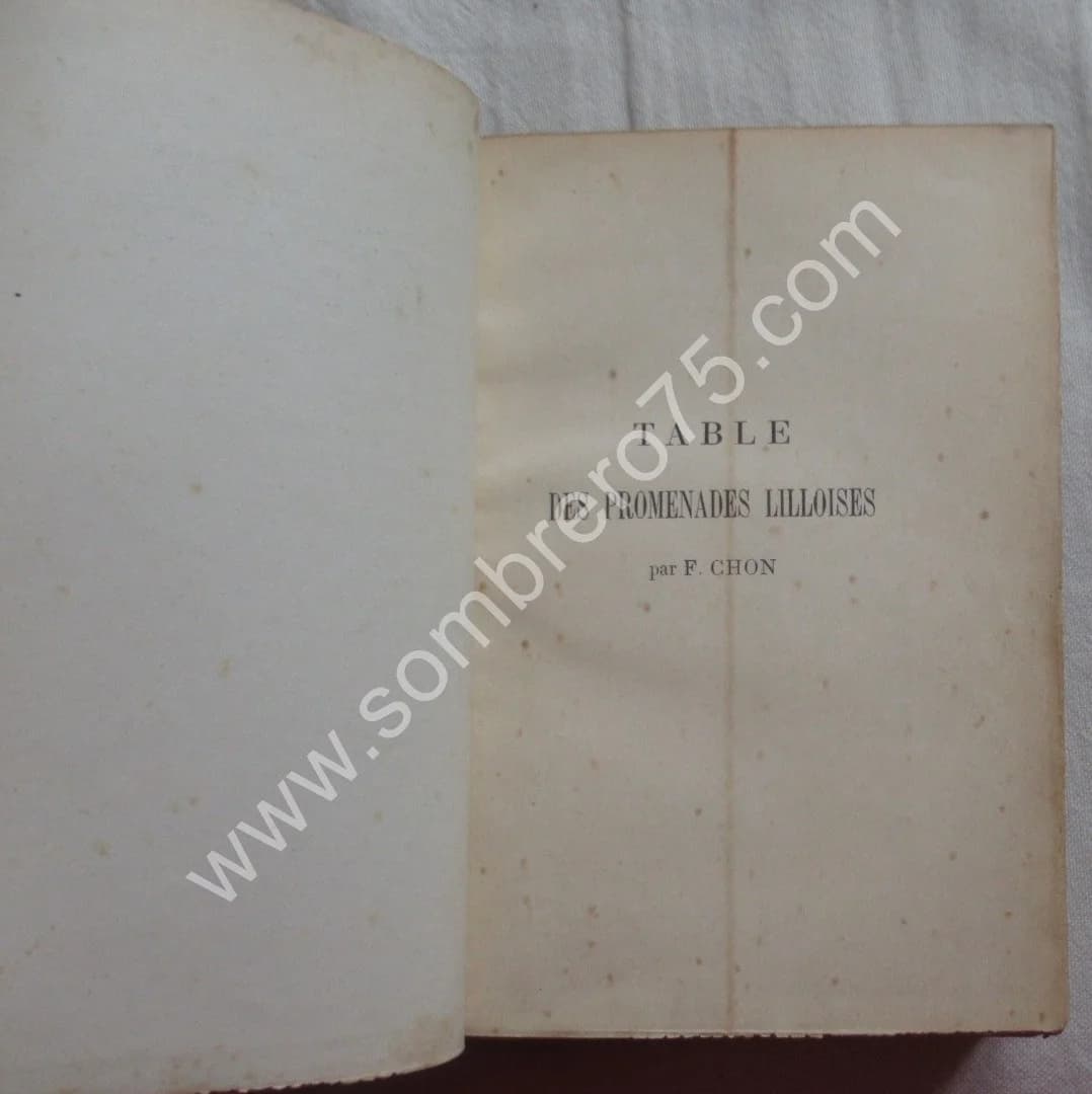 Promenades Lilloises 1888. F. CHON - Image 4