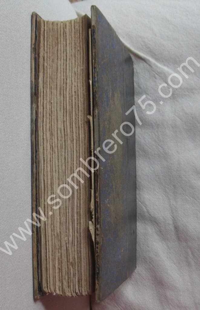 Promenades Lilloises 1888. F. CHON - Image 9