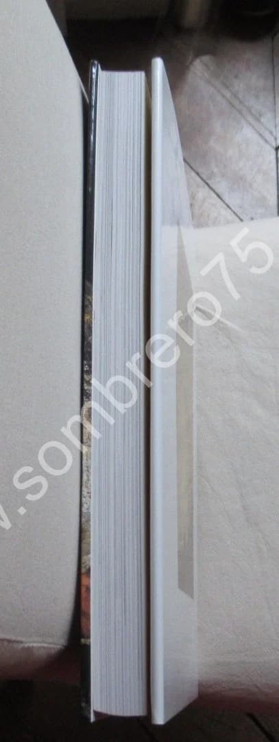 GOYA.. Citadelles - Image 11