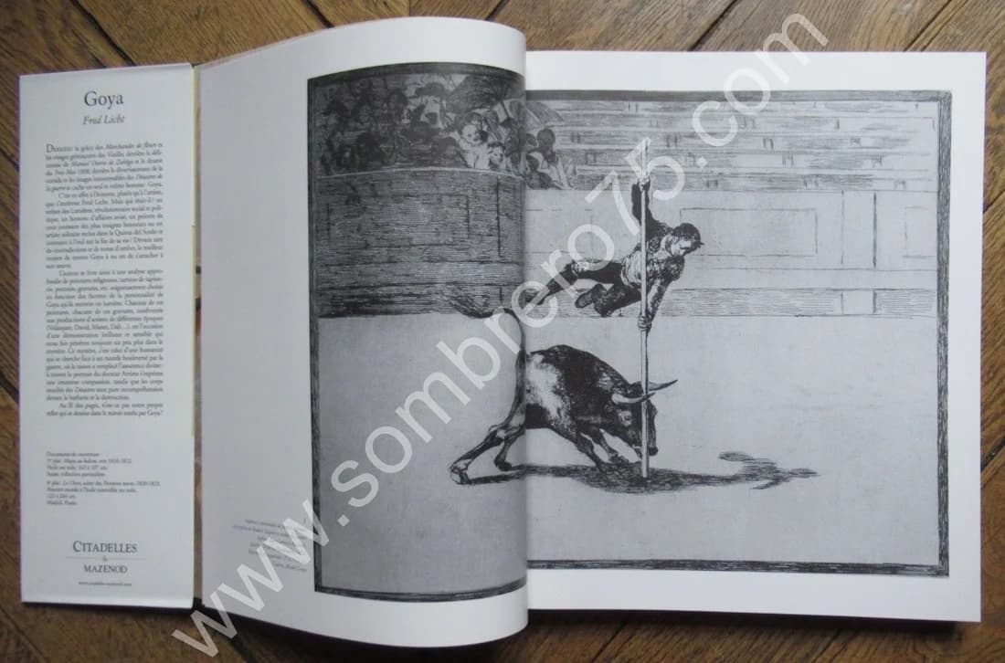 GOYA.. Citadelles - Image 6
